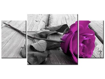 Obraz Wyrazista róża, 3 elementy, 80x40 cm - Oobrazy