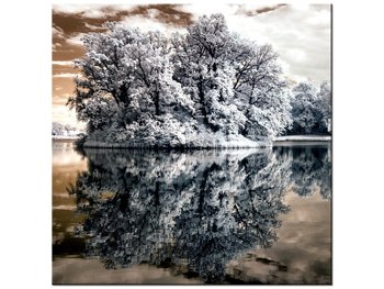 Obraz Wysepka na jeziorze, 30x30 cm - Oobrazy