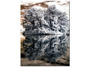 Obraz Wysepka na jeziorze, 30x40 cm - Oobrazy