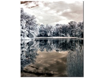 Obraz Wysepka na jeziorze, 50x60 cm - Oobrazy