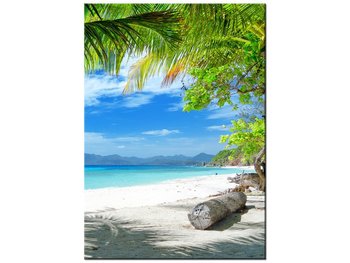 Obraz Wyspa Malcapuya, 50x70 cm - Oobrazy