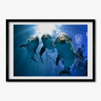 Obraz z ramką do salonu TULUP Trzy delfiny 70x50 cm cm - Tulup