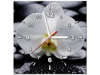 Obraz z zegarem, Biały Storczyk, 1 element, 30x30 cm - Oobrazy