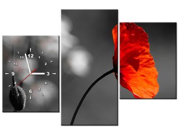 Obraz z zegarem, Samotny mak - Jenny Downing, 3 elementy, 90x60 cm - Oobrazy