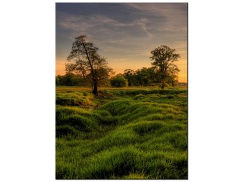 Obraz Zachodzące słońce wśród drzew, 30x40 cm - Oobrazy