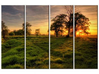 Obraz Zachodzące słońce wśród drzew, 4 elementy, 120x80 cm - Oobrazy