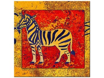 Obraz, Zebra afrykańska, 30x30 cm - Oobrazy