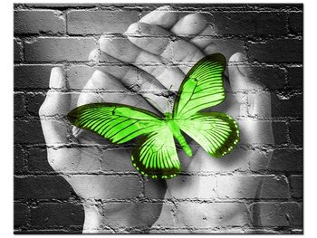 Obraz, Zielony motyl w dłoniach, 50x40 cm - Oobrazy