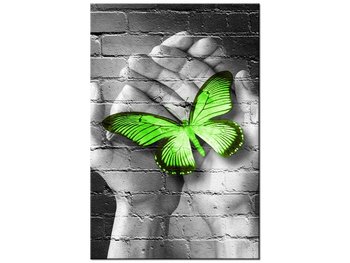 Obraz Zielony motyl w dłoniach, 80x120 cm - Oobrazy