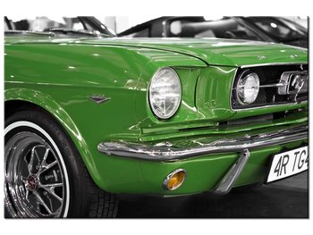 Obraz Zielony Mustang, 30x20 cm - Oobrazy