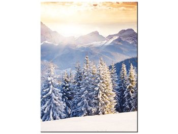 Obraz, Zima w górach, 30x40 cm - Oobrazy