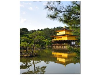 Obraz Złoty domek - Mith Huang, 50x60 cm - Oobrazy