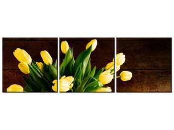 Obraz Żółte tulipany, 3 elementy, 90x30 cm - Oobrazy