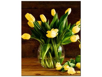 Obraz Żółte tulipany, 40x50 cm - Oobrazy