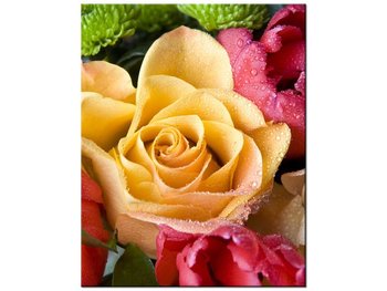 Obraz Zroszona róża, 40x50 cm - Oobrazy