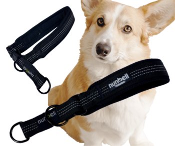 OBROŻA półzaciskowa czarna odblaskowa miękka dla psa 34-42 cm - Inna marka