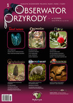 Obserwator Przyrody Wydawnictwo Mykoryza Mateusz Słyk