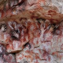 Ochre & Ash Fauna