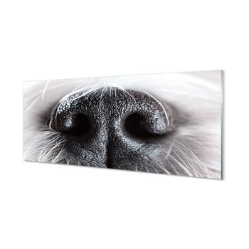 Ochronna płyta szkło między szafki Nos psa 125x50 cm - Tulup