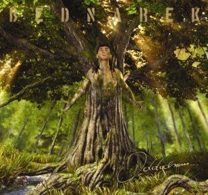 Oddycham - Bednarek