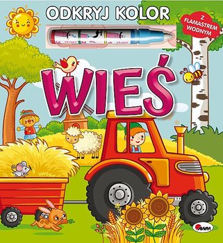 Odkryj kolor. Wieś  - Wiśniewska Joanna