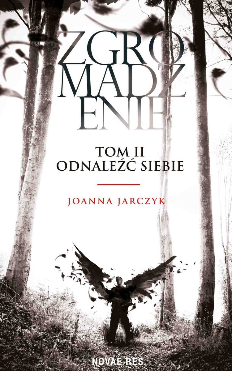 Odnaleźć siebie. Zgromadzenie. Tom 2 - ebook epub