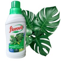 odżywka Florovit do monster i innych pnączy 550g nawóz płynny 500 ml