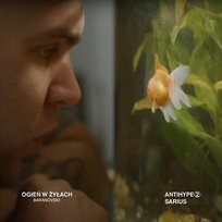 Ogień W Żyłach Sarius, Czarny HIFI, BARANOVSKI