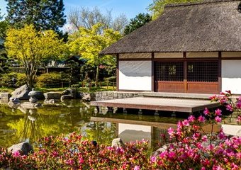 Ogród w stylu japońskim – aranżacja, pomysły
