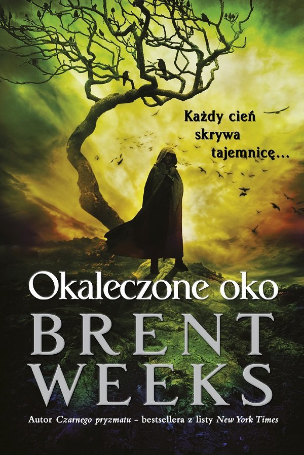 Okaleczone oko. Saga powiernika światła. Tom 3 - ebook epub