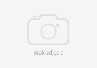 Rock ukraińskiej rewolucji w Stodole