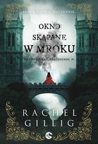 Okno skąpane w mroku - ebook epub Rachel Gillig