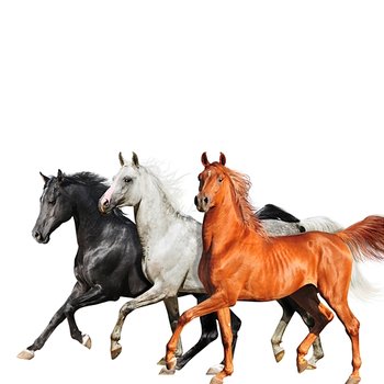 Old Town Road - Lil Nas X, Billy Ray Cyrus, Diplo