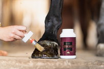 Olej do kopyt Over Horse GlitterHoofGoldenOil 550ml