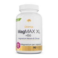 OLIMP MagMAX XL + B6 90kaps Olimp Labs