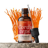 Ollywell Cordyceps (Maczużnik bojowy) Krople 30 ml