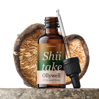 Ollywell Shiitake (Twardnik japoński) Krople 30 ml - Ollywell