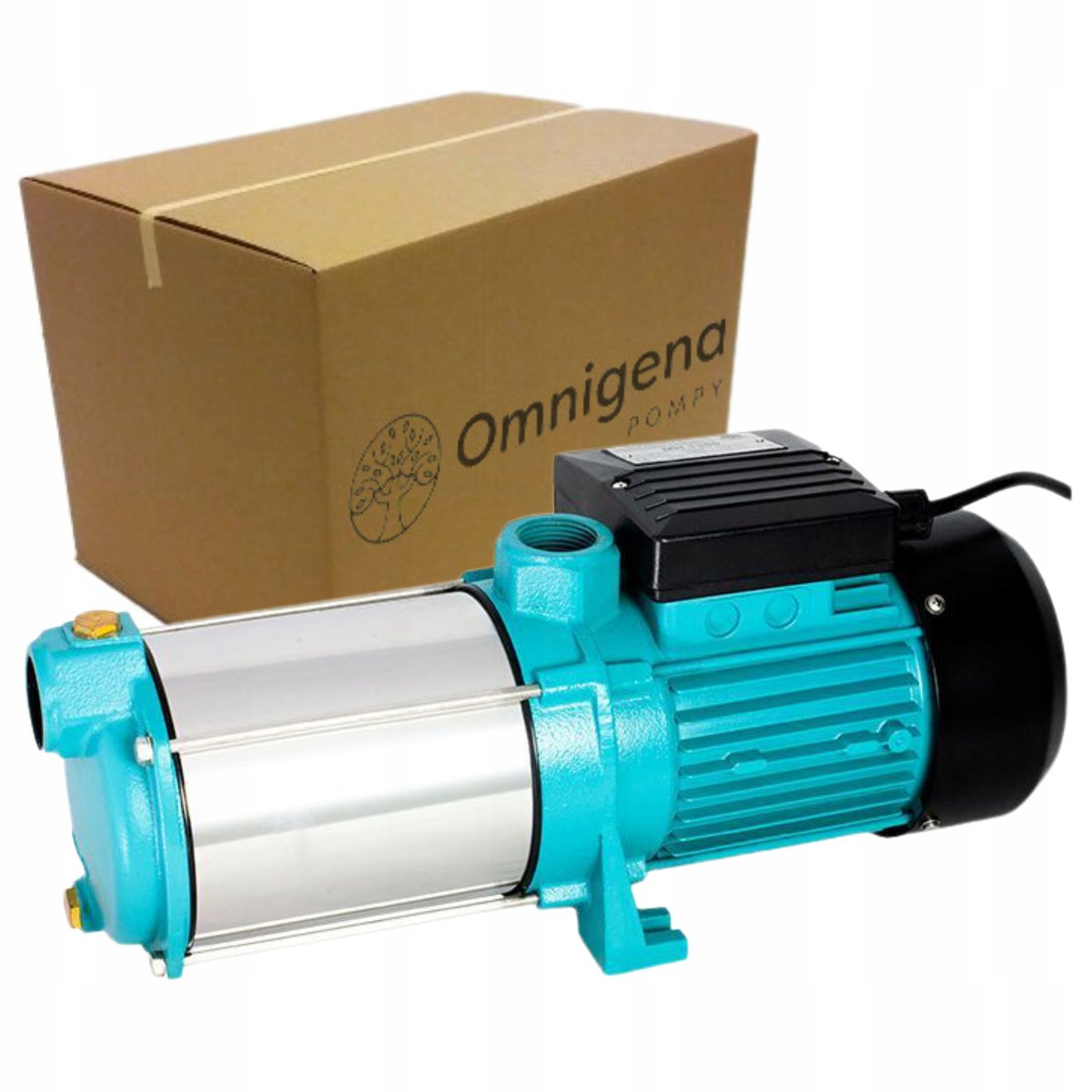 Omnigena Schmutzwasserpumpe 1100W - Tauchpumpe Mit Schwimmerschalter 21000 L/h