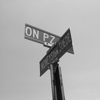 On Pz + Chess + Venom MoneySign Suede