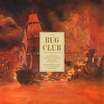 On The Intricate Inner Workings Of The System Bug Club