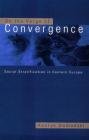 On the Verge of Convergence - Domański Henryk