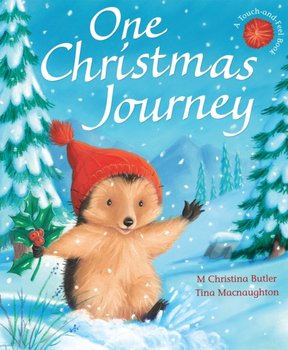 One Christmas Journey - M. Christina Butler