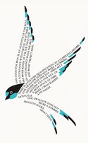 One Swallow Does Not Make a Summer Arystoteles