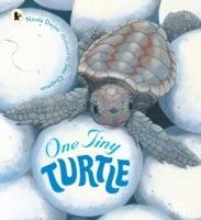 One Tiny Turtle - Davies Nicola