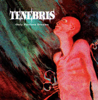 Only Fearless Dreams Tenebris