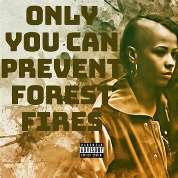 Only You Can Prevent Forest Fires - dj9o1