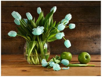Oobrazy, Fototapeta, Niebieski tulipan, 200x150 cm - Oobrazy