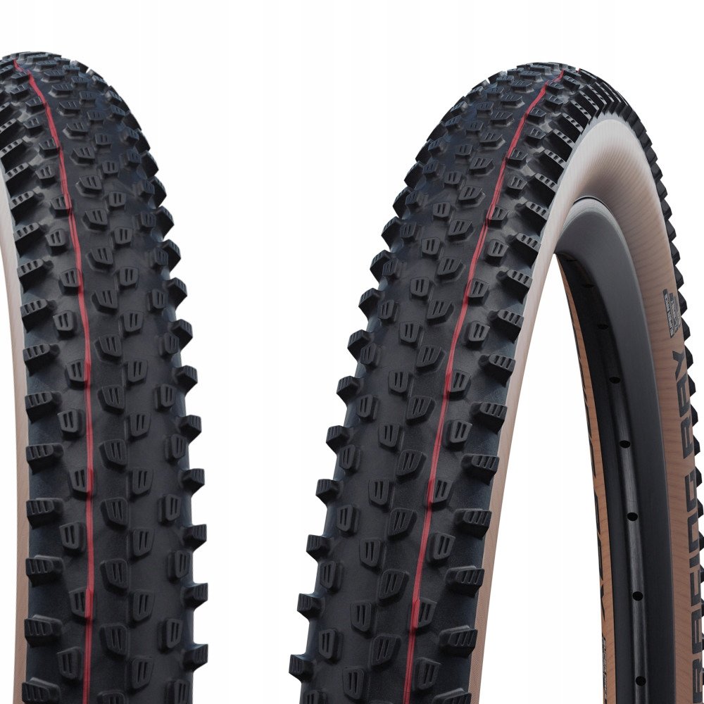 SCHWALBE ( シュワルベ ) レーシングレイ 29X2.25 SCHWALBE シュワルベ RACING RAY レーシング レイ Evolution