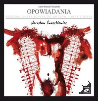 Opowiadania: Brzezina / Matka Joanna od Aniołów / Panny z Wilka - audiobook