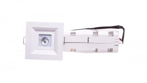 Zdjęcia - Żyrandol / lampa Lovato Oprawa  P LED 3W  1h jednozadaniowa autotest biała LVP (opt. otwarta)